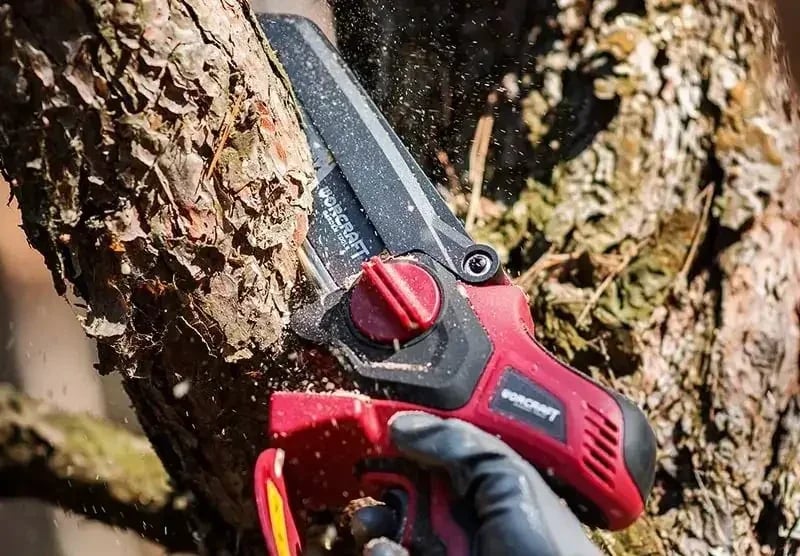 منشار الخشب ببطاريةو شاحن mini scie à chain batterie 20V WORCRAFT 4